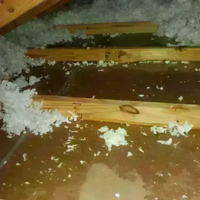 Attic Water Damage in Stockton, KS