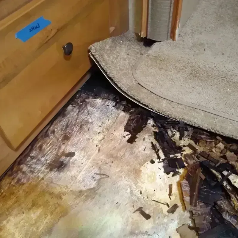 Best Wood Floor Water Damage Service in Stockton, KS